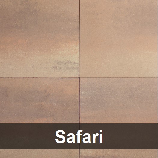 Safari